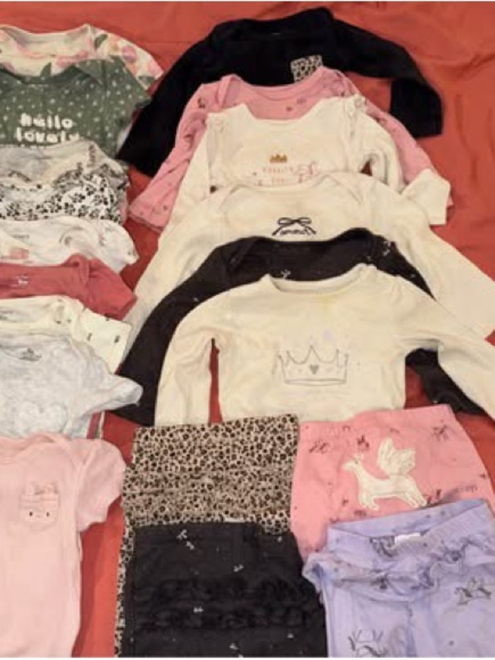 Carter’s Baby Girl 9m clothes bundle (bodysuits, pants, mix and match outfits)